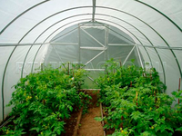 Теплица под пленку Дачная-2Д/ 5,40 х3,00х 2,00 м Теплица под пленку Дачная-2Д/ 5,40 х3,00х 2,00 м