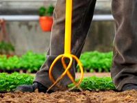 Ручной  культиватор-корнеудалитель Tornadica