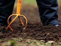 Ручной  культиватор-корнеудалитель Tornadica