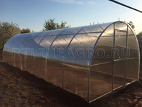 Теплица Боровик 3 x 4 x 2 м с поликарбонатом RTLINE Agro специально для теплиц! Теплица Боровик 3 x 4 x 2 м с поликарбонатом RTLINE Agro специально для теплиц!