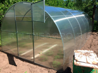 Теплица Боровик 3 x 4 x 2 м с поликарбонатом RTLINE Agro специально для теплиц! Теплица Боровик 3 x 4 x 2 м с поликарбонатом RTLINE Agro специально для теплиц!