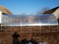 Теплица Боровик 3 x 4 x 2 м с поликарбонатом RTLINE Agro специально для теплиц! Теплица Боровик 3 x 4 x 2 м с поликарбонатом RTLINE Agro специально для теплиц!