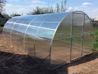 Теплица Боровик 3 x 4 x 2 м с поликарбонатом RTLINE Agro специально для теплиц! Теплица Боровик 3 x 4 x 2 м с поликарбонатом RTLINE Agro специально для теплиц!