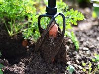 Ручной культиватор Tornadica мини