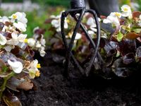 Ручной культиватор Tornadica мини