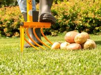 Культиватор-картофелекопатель Tornadica