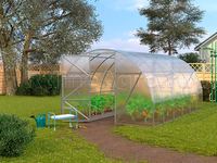 Теплица Дачная ЭКО 3 x 4 x 2 м с поликарбонатом Киви Лайт Теплица Дачная ЭКО 3 x 4 x 2 м с поликарбонатом Киви Лайт