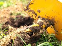 Садовый бур Профи Tornadica 200 мм