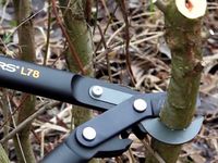 Сучкорез плоскостной большой PowerGear™ L78