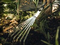 Грабли Xact™