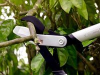 Сучкорез плоскостной малый PowerGear™X  LX92