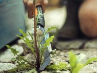 Нож для прополки Xact™