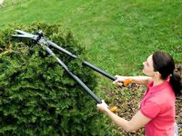 Ножницы для травы и жив изгороди PowerLever™ GS53