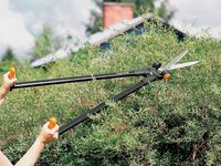 Ножницы для травы и жив изгороди PowerLever™ GS53