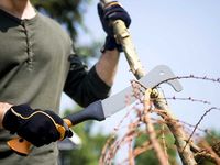 Секач для сучьев малый WoodXpert™ XA3