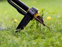 Удалитель сорняков Xact™