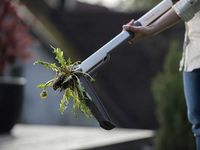 Удалитель сорняков облегченный