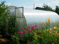 Теплица Боровик 3 x 4 x 2 м с поликарбонатом RTLINE Agro специально для теплиц! Теплица Боровик 3 x 4 x 2 м с поликарбонатом RTLINE Agro специально для теплиц!