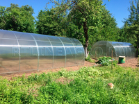 Теплица Боровик 3 x 4 x 2 м с поликарбонатом RTLINE Agro специально для теплиц! Теплица Боровик 3 x 4 x 2 м с поликарбонатом RTLINE Agro специально для теплиц!