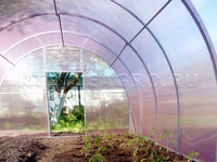 Теплица Боровик 3 x 4 x 2 м с поликарбонатом RTLINE Agro специально для теплиц! Теплица Боровик 3 x 4 x 2 м с поликарбонатом RTLINE Agro специально для теплиц!