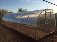 Теплица Боровик 3 x 4 x 2 м с поликарбонатом RTLINE Agro специально для теплиц! Теплица Боровик 3 x 4 x 2 м с поликарбонатом RTLINE Agro специально для теплиц!