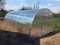 Теплица Боровик 3 x 4 x 2 м с поликарбонатом RTLINE Agro специально для теплиц! Теплица Боровик 3 x 4 x 2 м с поликарбонатом RTLINE Agro специально для теплиц!