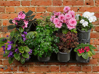 Настенная панель капельного полива Ботанический сад