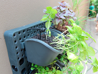 Настенная панель капельного полива Ботанический сад