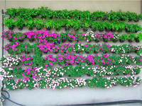 Настенная панель капельного полива Ботанический сад