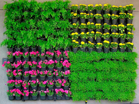 Настенная панель капельного полива Ботанический сад