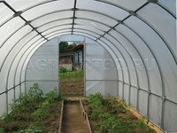 Теплицы Слава Гарант / каркас оцинкованная труба 20 х 20 х 1,2 мм Теплицы Слава Гарант / каркас оцинкованная труба 20 х 20 х 1,2 мм