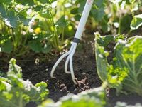 Культиватор облегченный