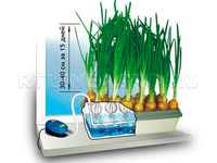 Гидропонная грядка / Луковое счастье Гидропонная грядка / Луковое счастье