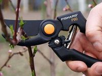 Профессиональный садовый секатор P90