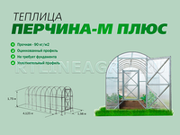 Теплица Перчина М Плюс 1,56 x 4,2 x 1,75 м с поликарбонатом PRACTIQ Теплица Перчина М Плюс 1,56 x 4,2 x 1,75 м с поликарбонатом PRACTIQ