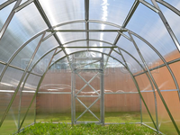 Теплица Дачная Трешка 3 x 4 x 2 м с поликарбонатом Карбогласс Кристалл