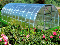 Теплица Дачная-2ДУМ 3 x 8 x 2 м с поликарбонатом PRACTIQ Теплица Дачная-2ДУМ 3 x 8 x 2 м с поликарбонатом PRACTIQ