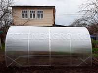 Теплица Боровик 3 x 8 x 2 м с поликарбонатом Премиум Гарант Теплица Боровик 3 x 8 x 2 м с поликарбонатом Премиум Гарант
