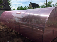 Теплица Боровик-Богатырь 3 x 4 x 2 м с поликарбонатом PRACTIQ Теплица Боровик-Богатырь 3 x 4 x 2 м с поликарбонатом PRACTIQ