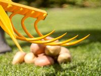 Культиватор-картофелекопатель Tornadica Культиватор-картофелекопатель Tornadica