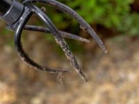 Извлекатель сорняков Tornadica Извлекатель сорняков Tornadica