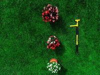 Извлекатель сорняков Tornadica Извлекатель сорняков Tornadica