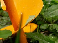 Садовый бур Профи Tornadica 200 мм Садовый бур Профи Tornadica 200 мм