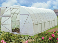 Теплица под пленку Дачная-2ДУ / 6 х 3 х 2 м Теплица под пленку Дачная-2ДУ / 6 х 3 х 2 м