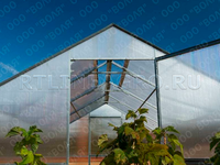 Теплица Дельта 2,5 x 4,3 x 2,2 м с поликарбонатом Карбогласс Кристалл и профилями Теплица Дельта 2,5 x 4,3 x 2,2 м с поликарбонатом Карбогласс Кристалл и профилями