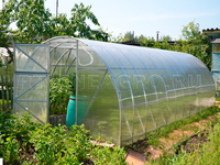 Теплица Дачная-2ДУМ 3 x 8 x 2 м с поликарбонатом PRACTIQ Теплица Дачная-2ДУМ 3 x 8 x 2 м с поликарбонатом PRACTIQ