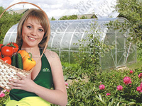 Теплица Дачная-2ДУМ 3 x 8 x 2 м с поликарбонатом PRACTIQ Теплица Дачная-2ДУМ 3 x 8 x 2 м с поликарбонатом PRACTIQ