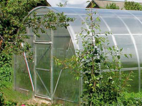 Теплица Дачная-2ДУМ 3 x 8 x 2 м с поликарбонатом PRACTIQ Теплица Дачная-2ДУМ 3 x 8 x 2 м с поликарбонатом PRACTIQ