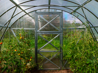 Теплица Дачная-2ДУМ 3 x 8 x 2 м с поликарбонатом PRACTIQ Теплица Дачная-2ДУМ 3 x 8 x 2 м с поликарбонатом PRACTIQ