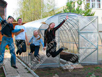 Теплица Дачная-2ДУМ 3 x 8 x 2 м с поликарбонатом PRACTIQ Теплица Дачная-2ДУМ 3 x 8 x 2 м с поликарбонатом PRACTIQ